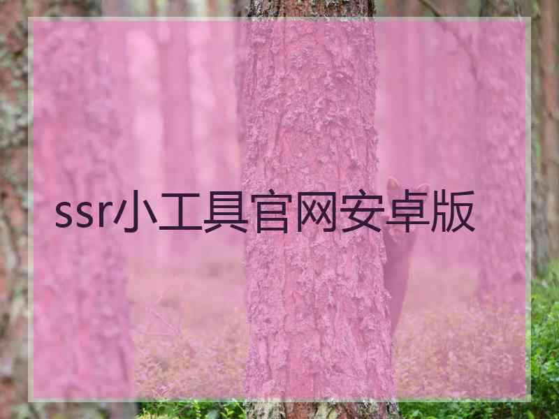 ssr小工具官网安卓版