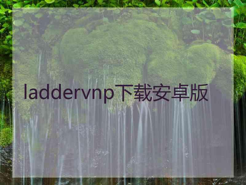 laddervnp下载安卓版