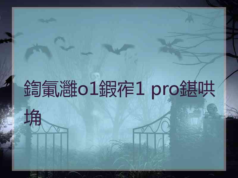 鍧氭灉o1鍜宱1 pro鍖哄埆