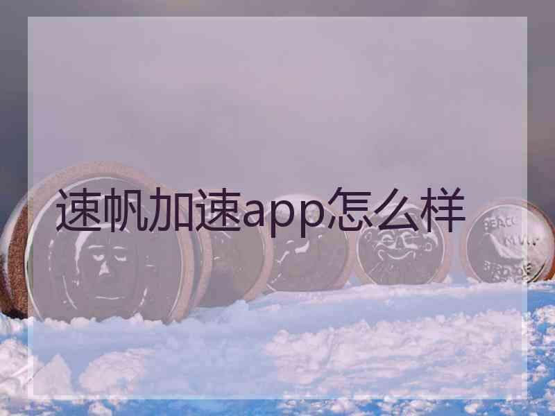 速帆加速app怎么样