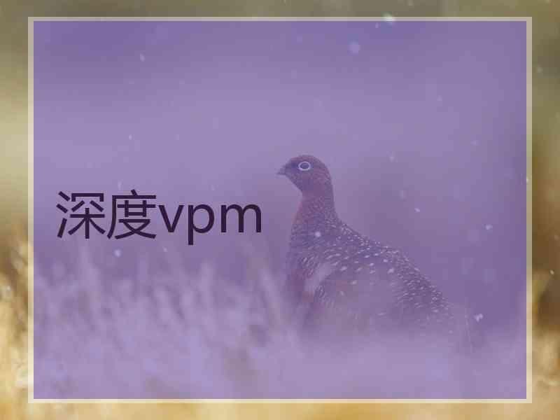 深度vpm