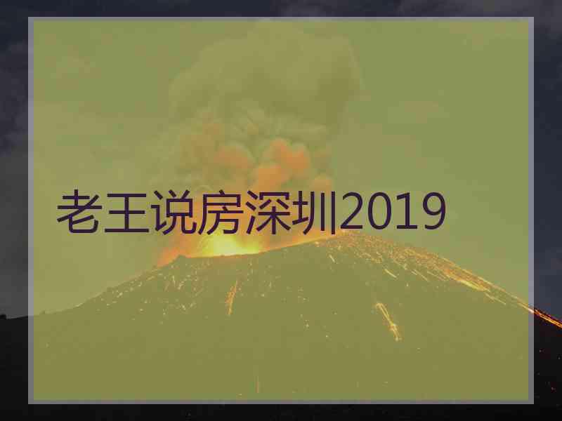 老王说房深圳2019