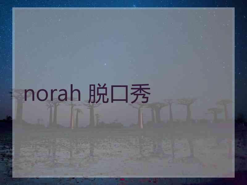 norah 脱口秀