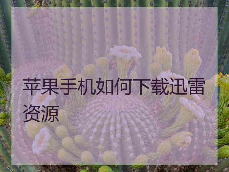 苹果手机如何下载迅雷资源