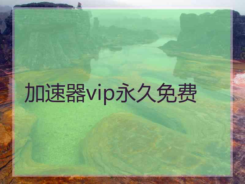 加速器vip永久免费