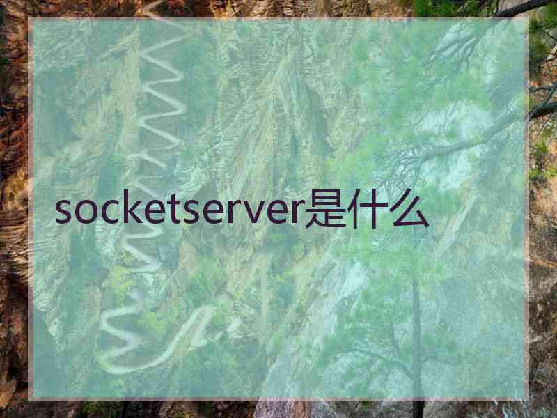 socketserver是什么