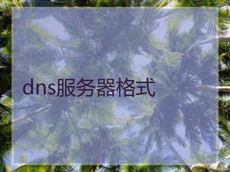 dns服务器格式