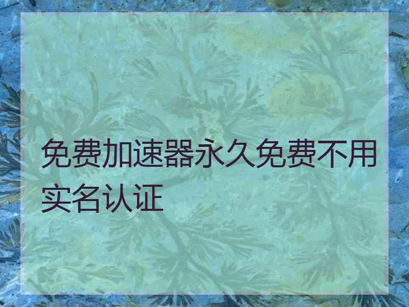 免费加速器永久免费不用实名认证