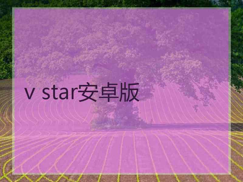 v star安卓版