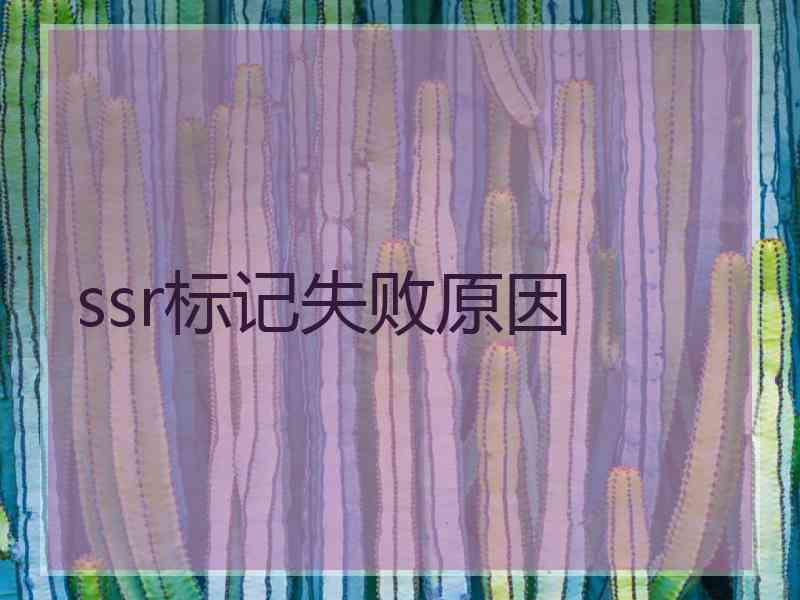 ssr标记失败原因