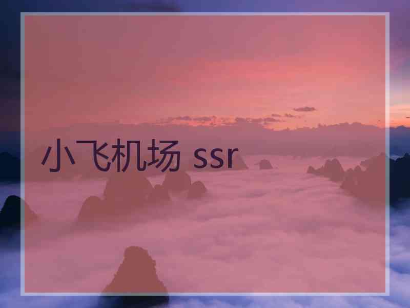 小飞机场 ssr