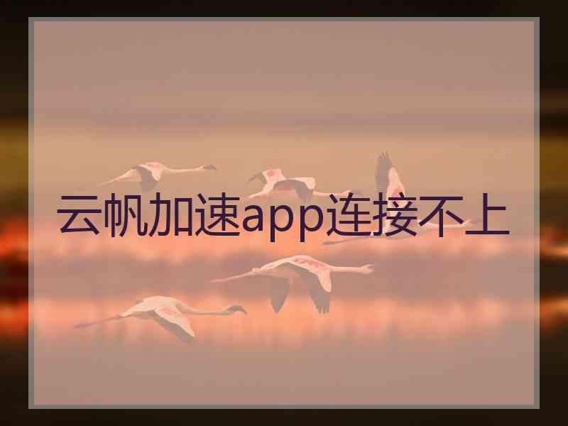 云帆加速app连接不上