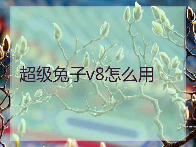 超级兔子v8怎么用