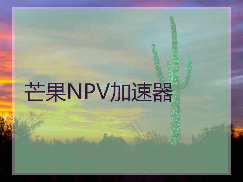 芒果NPV加速器