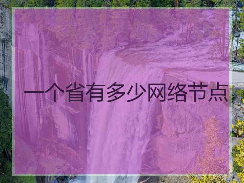 一个省有多少网络节点