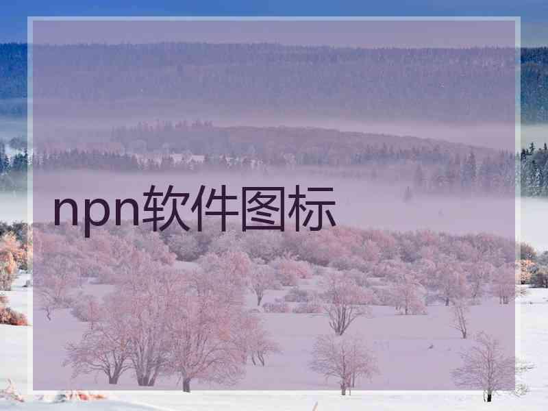 npn软件图标