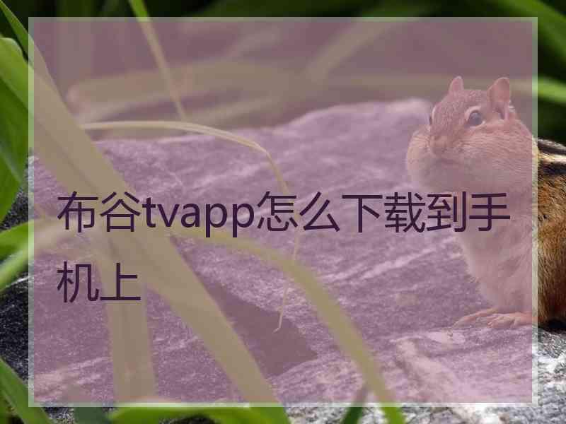 布谷tvapp怎么下载到手机上