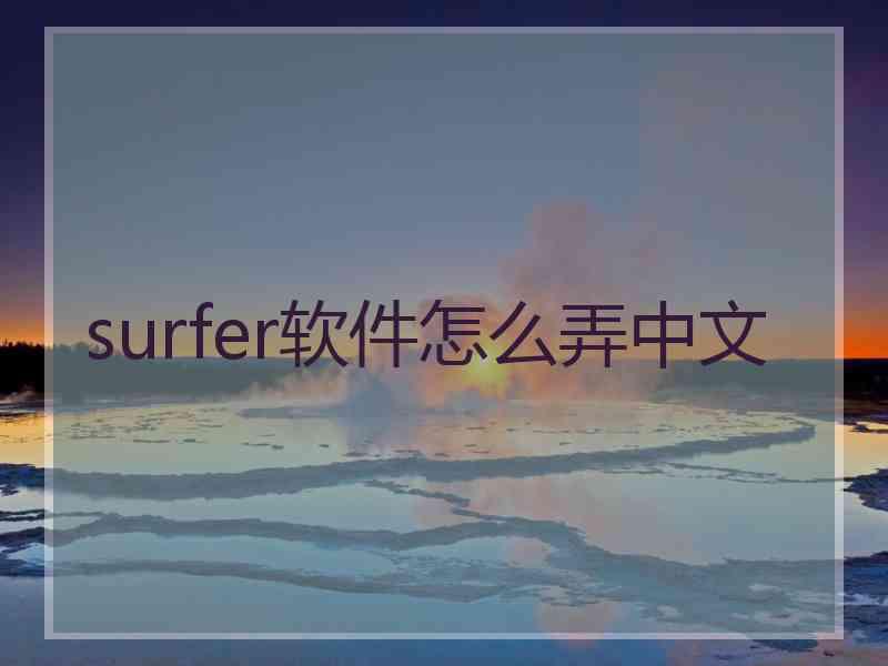 surfer软件怎么弄中文