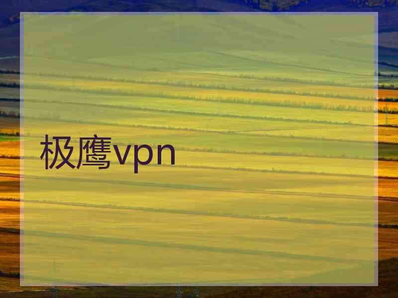 极鹰vpn