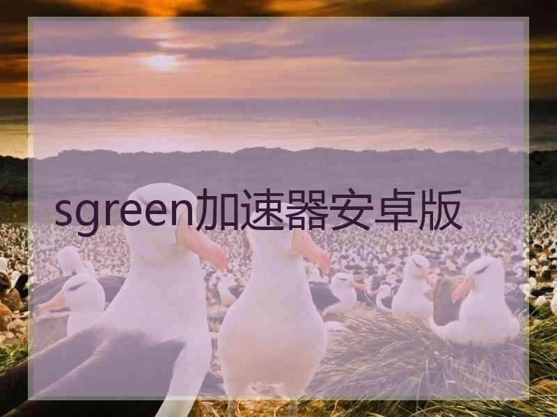 sgreen加速器安卓版