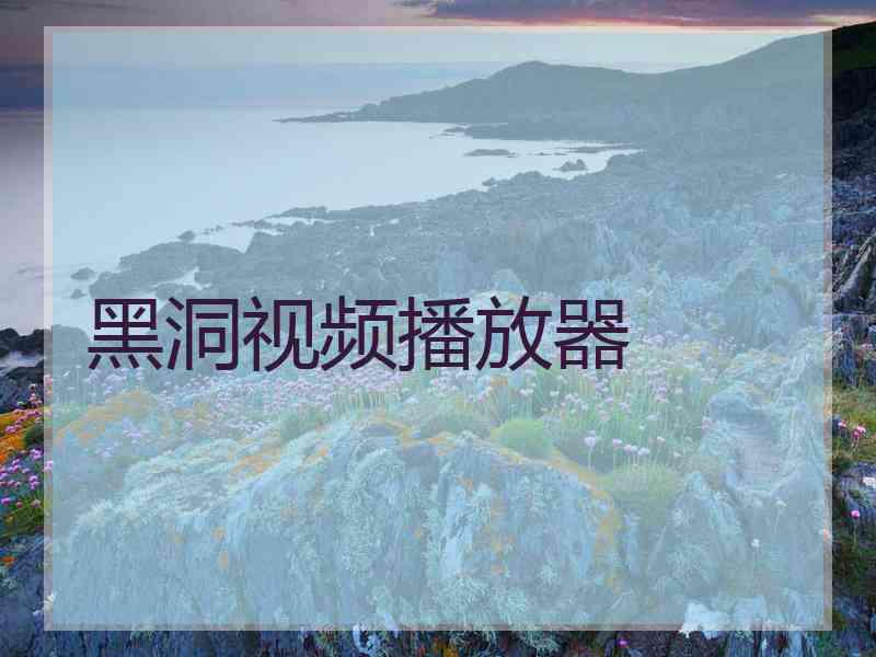 黑洞视频播放器