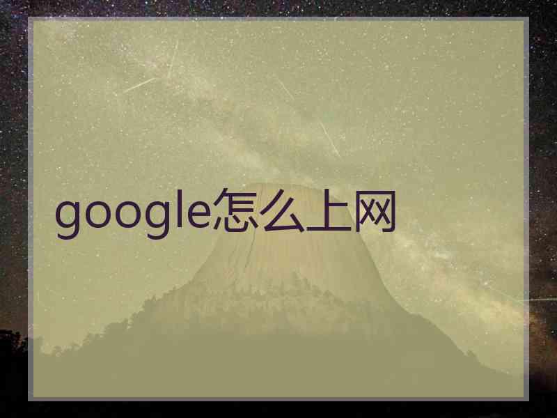 google怎么上网