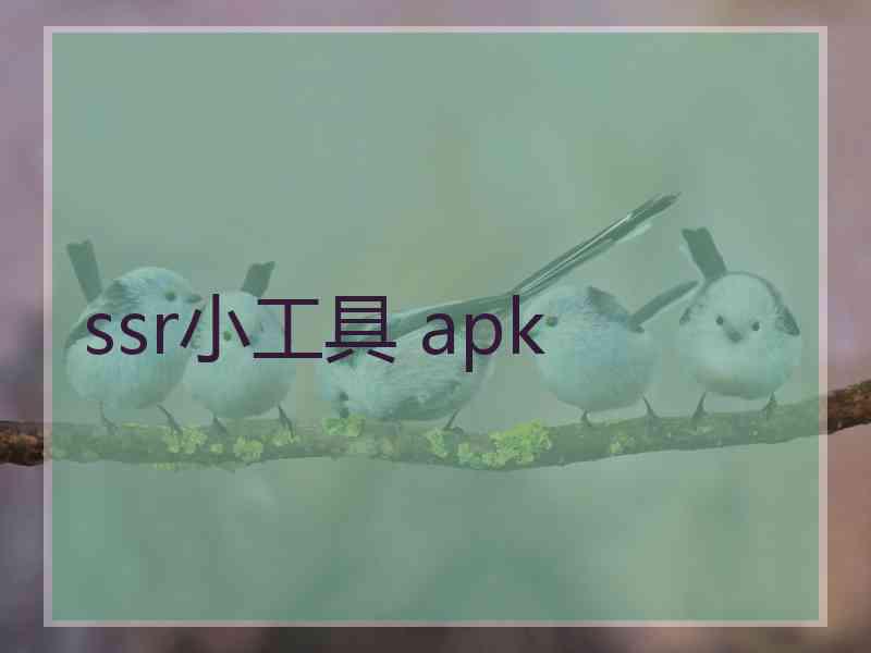 ssr小工具 apk