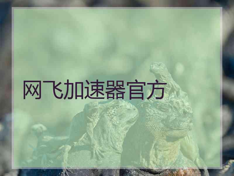 网飞加速器官方