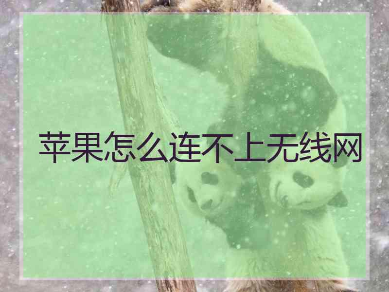 苹果怎么连不上无线网