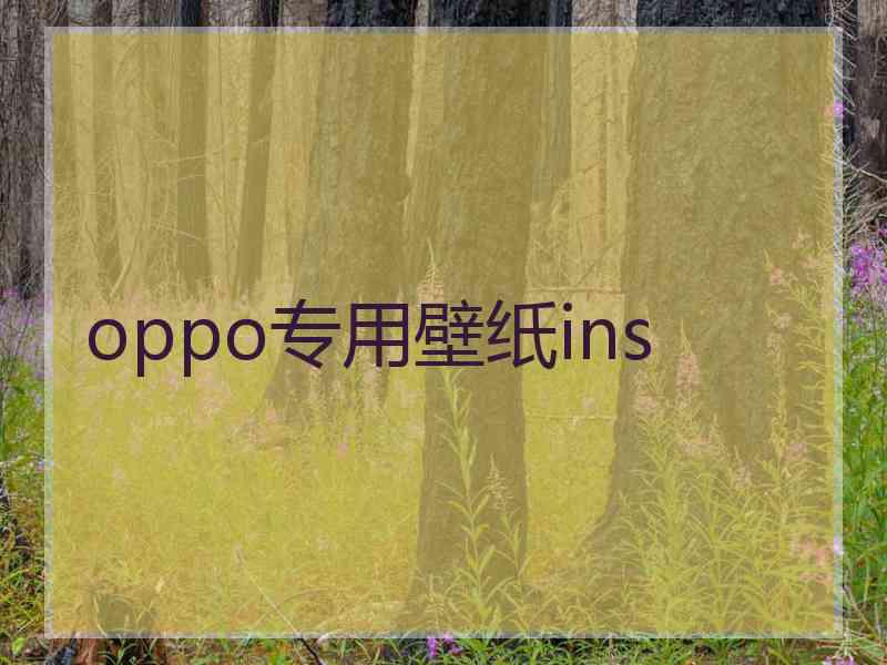 oppo专用壁纸ins