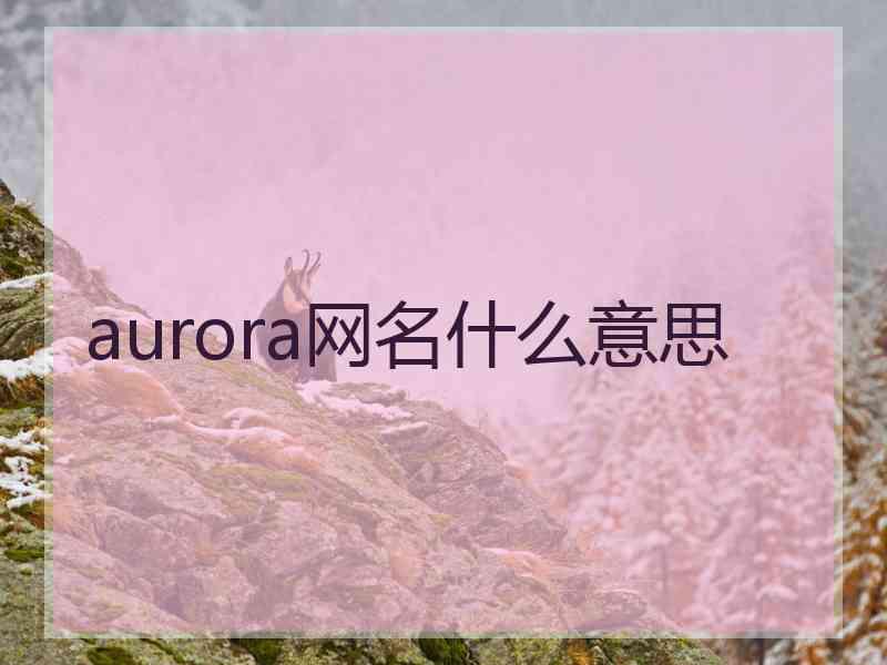 aurora网名什么意思