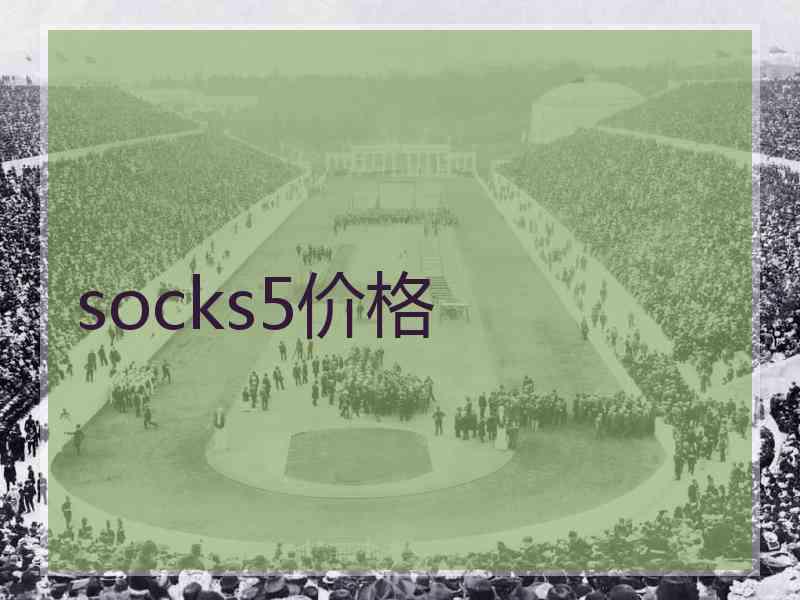 socks5价格