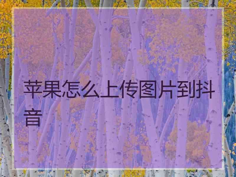 苹果怎么上传图片到抖音