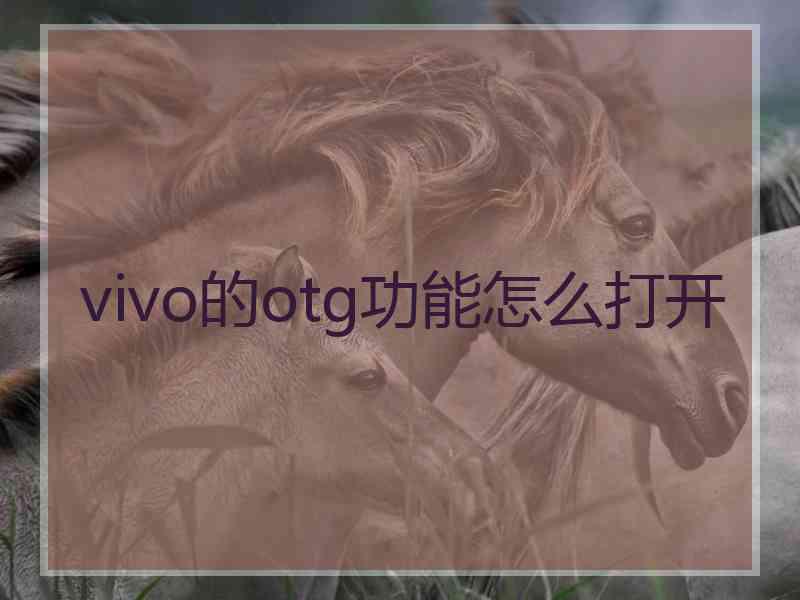 vivo的otg功能怎么打开