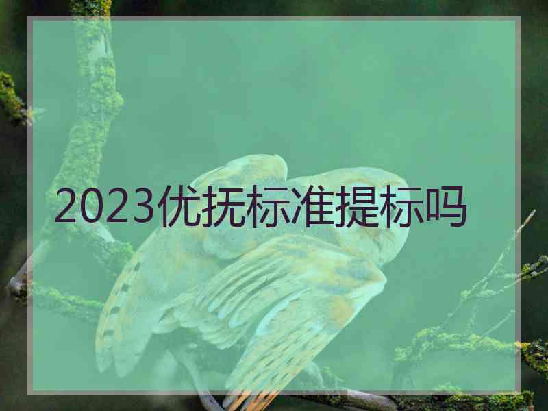 2023优抚标准提标吗