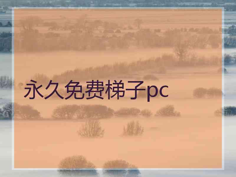 永久免费梯子pc