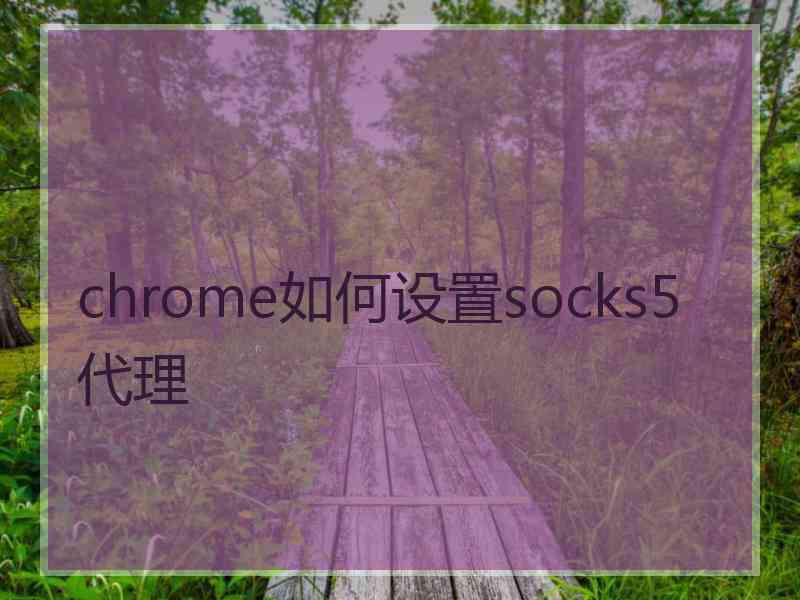 chrome如何设置socks5代理