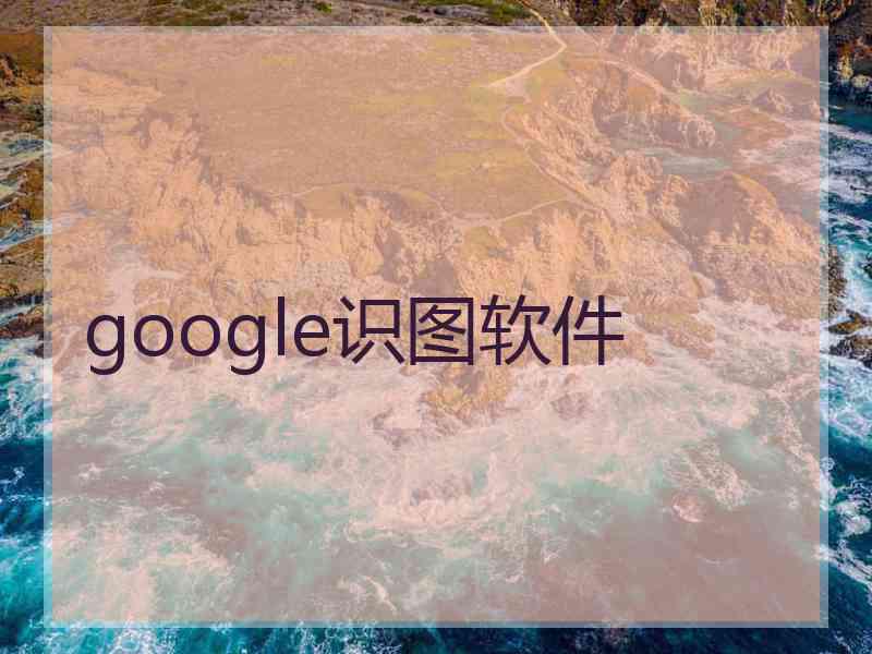 google识图软件