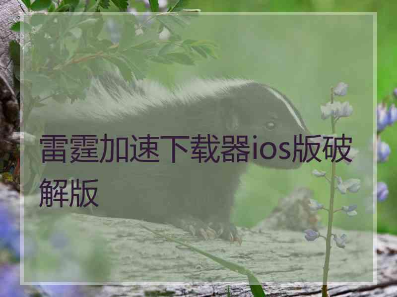 雷霆加速下载器ios版破解版