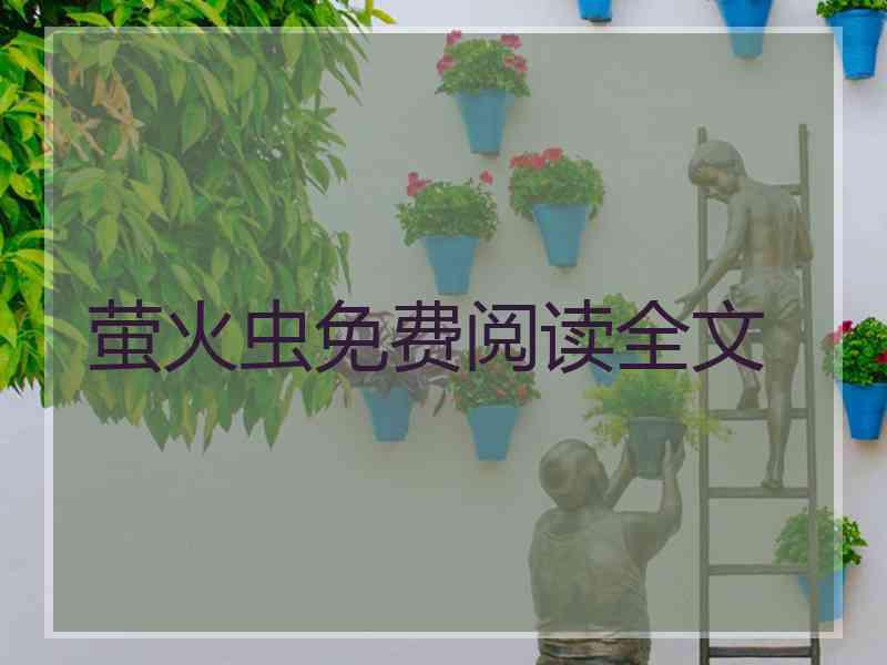 萤火虫免费阅读全文