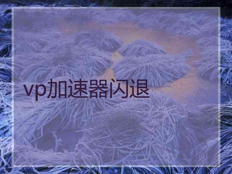 vp加速器闪退