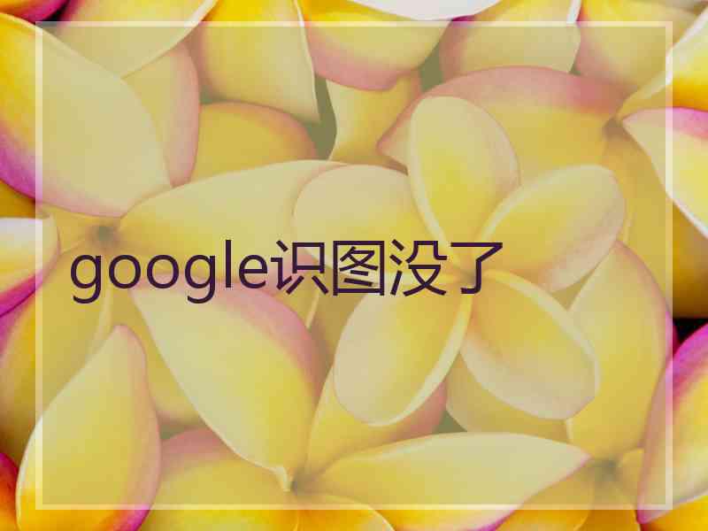 google识图没了