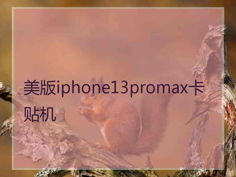 美版iphone13promax卡贴机