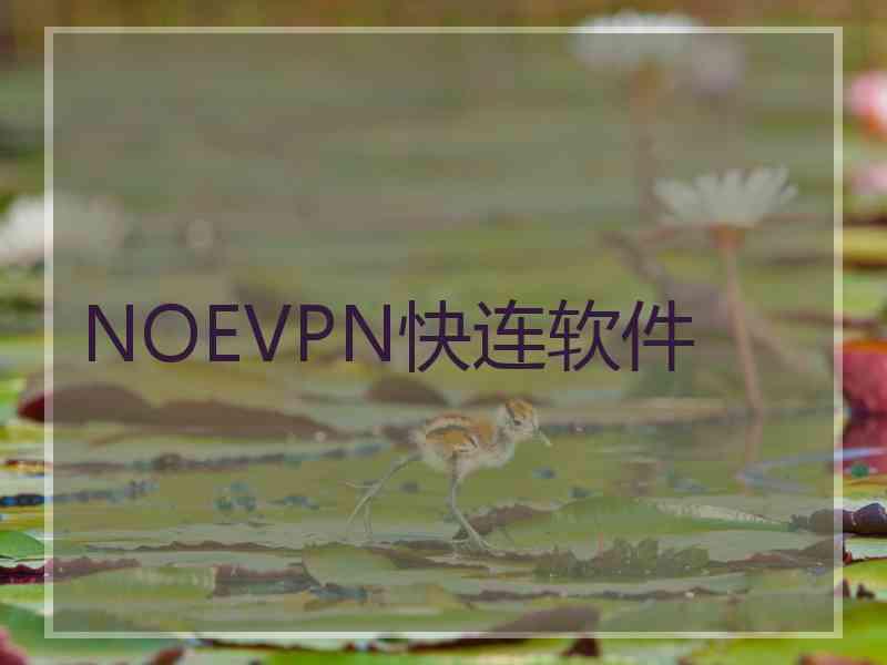 NOEVPN快连软件