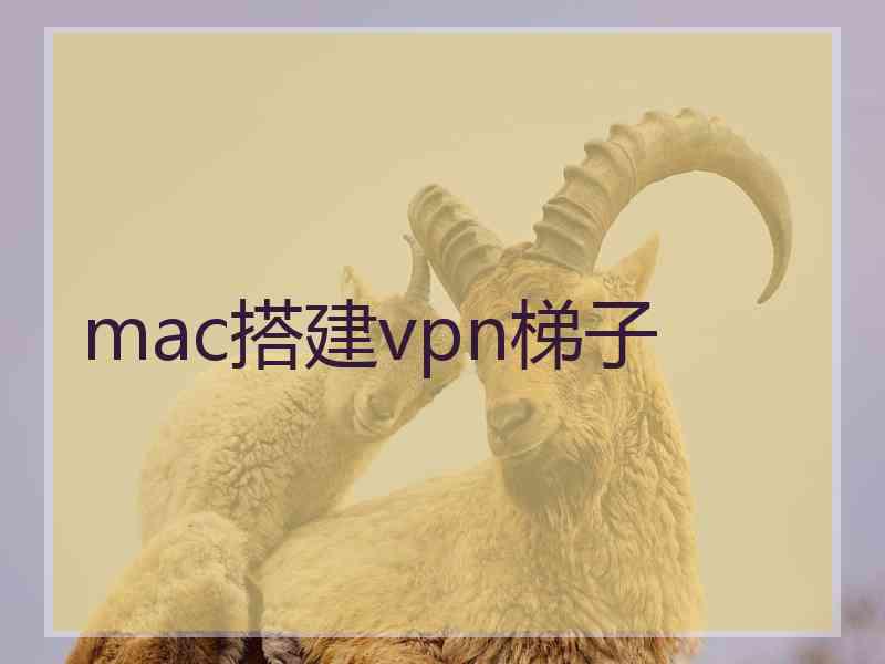 mac搭建vpn梯子