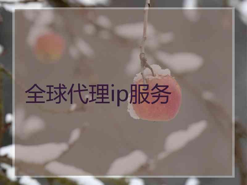 全球代理ip服务