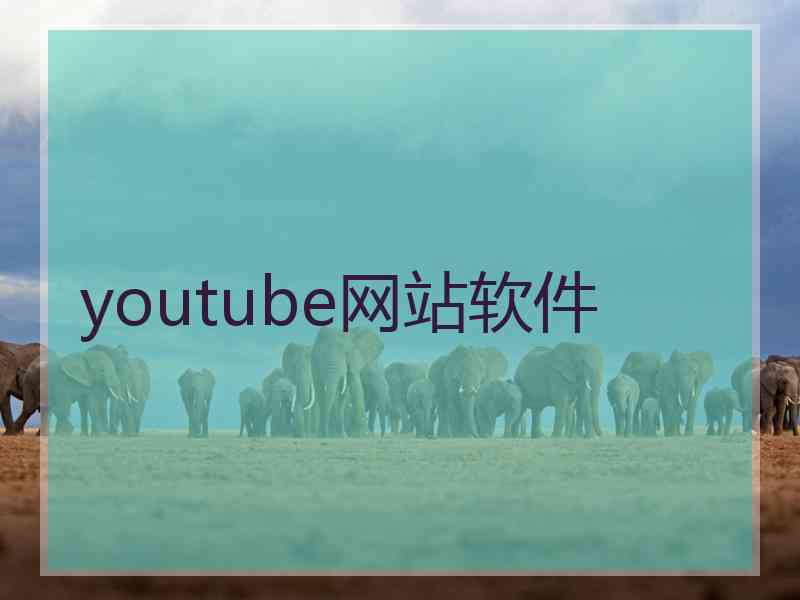 youtube网站软件