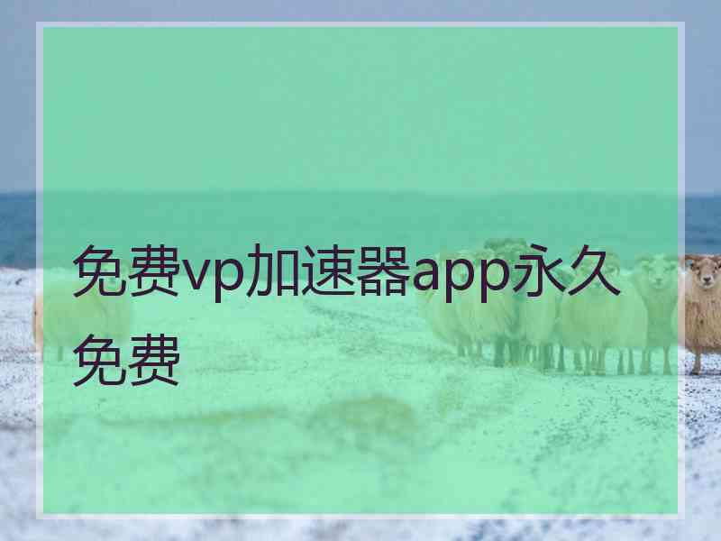 免费vp加速器app永久免费