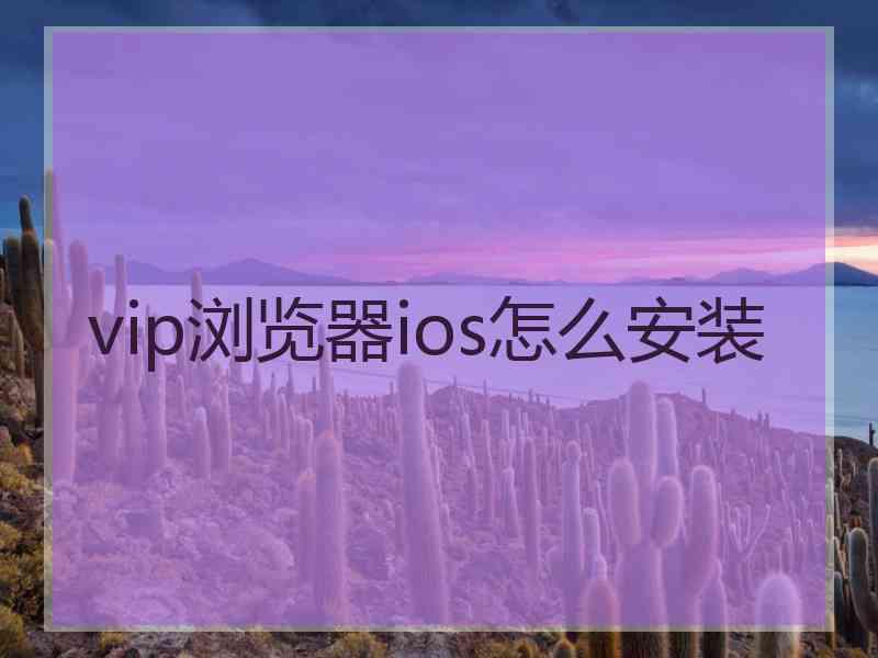 vip浏览器ios怎么安装