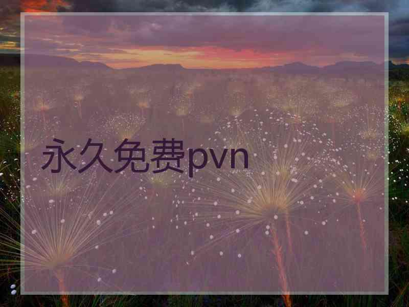 永久免费pvn